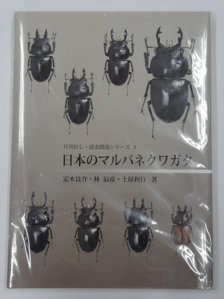 むし社 日本のマルハネクワガタ - クワガタ横丁